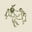 JADE olive oil logo